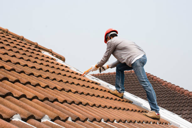 Best Commercial Roofing Services  in Nroe City, MO